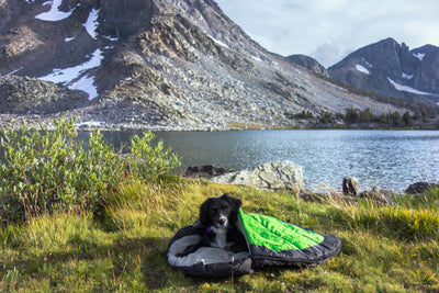 EXPLORER DOGGY SLEEPING BAG