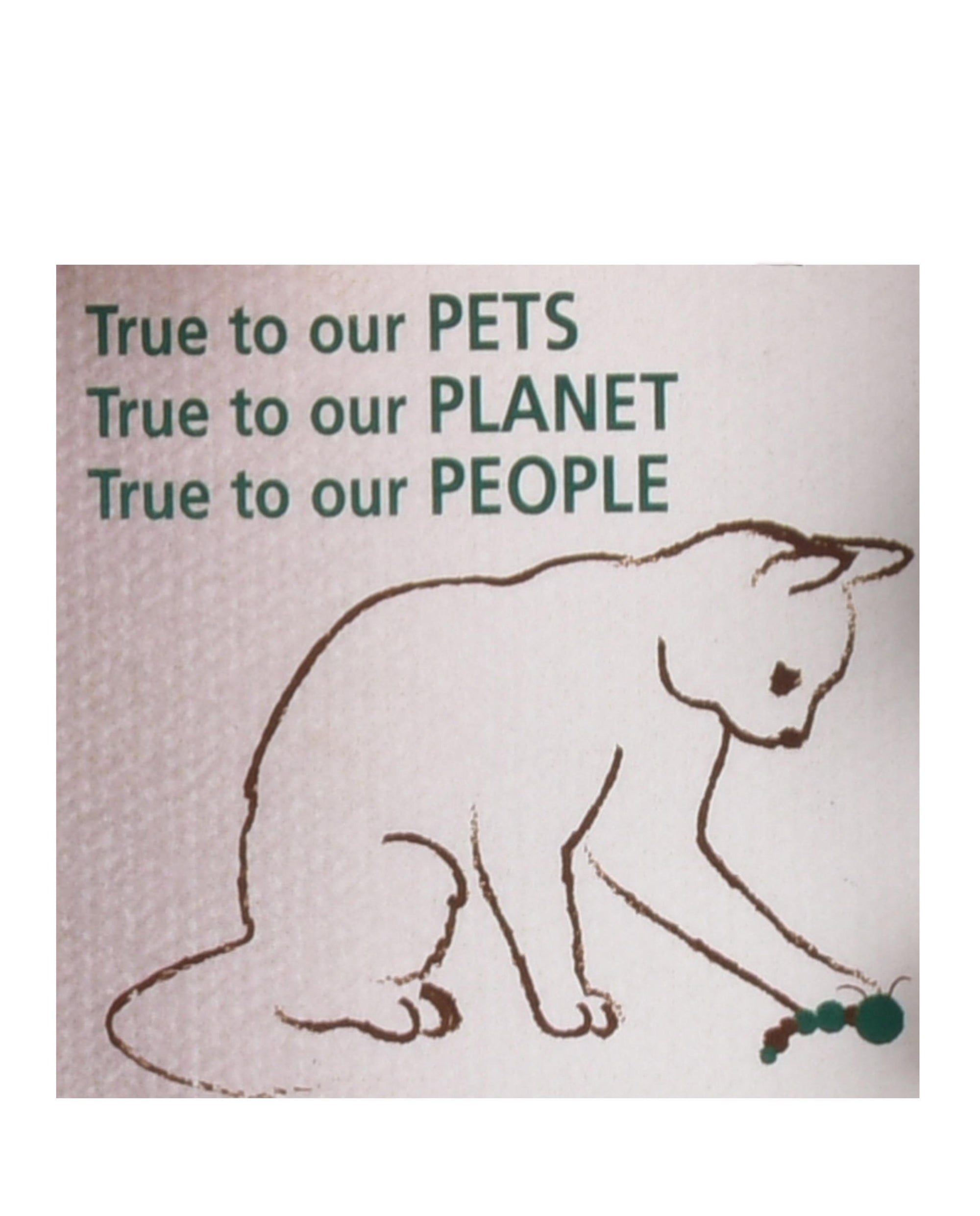 HONEST PET PRODUCTS ECO CATTY PILLAR