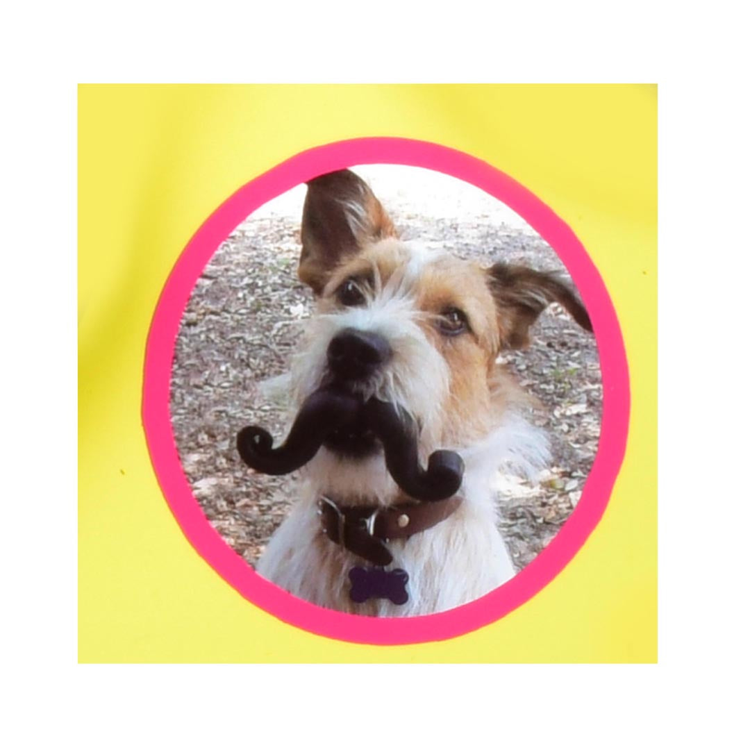 HUMUNGA STACHE SQUEAK FLOAT FETCH DOG TOY